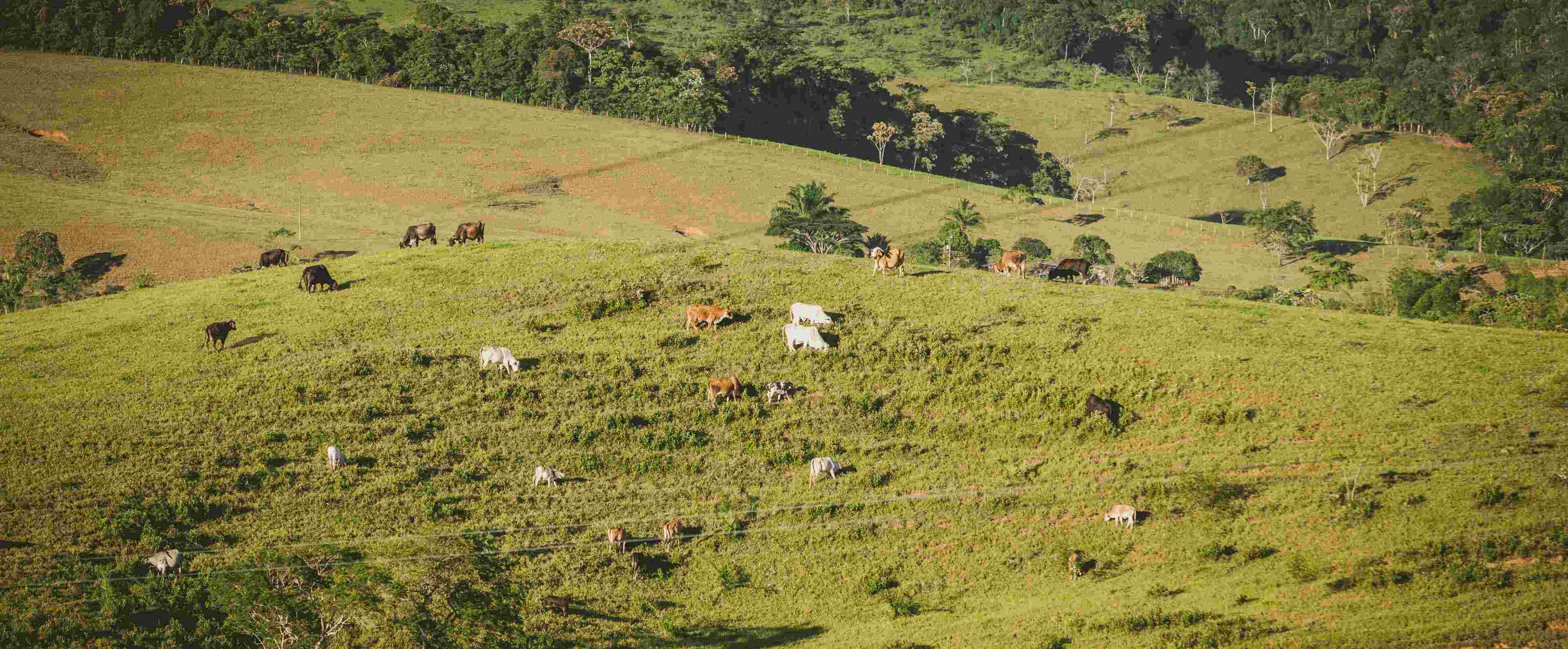 foto campo MinAgricultura 7.jpg